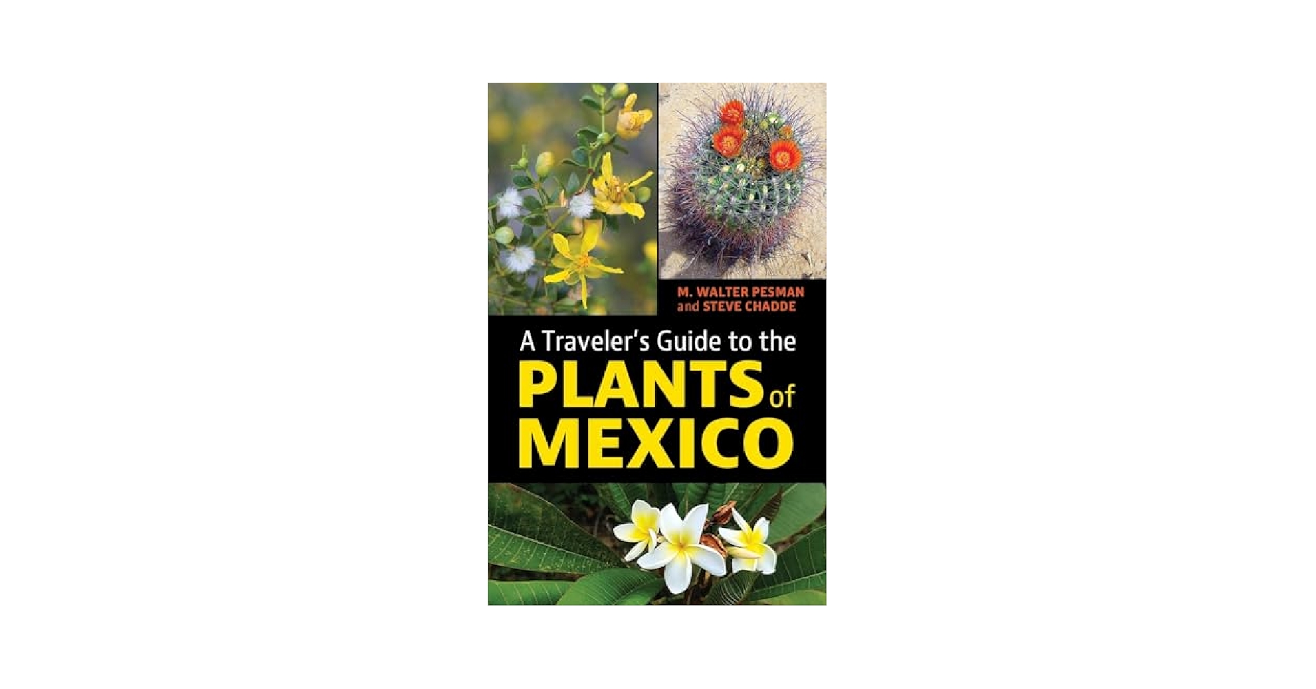 Amazon.com: A Traveler's Guide to the Plants of Mexico